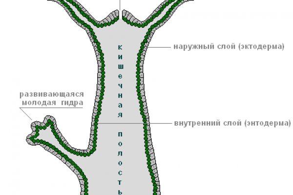 Кракен интернет