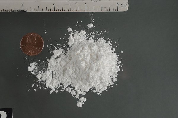 Каталог сайтов даркнет