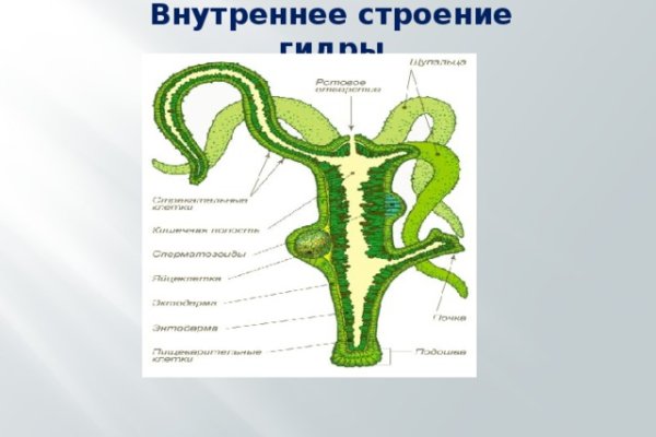 Kraken 12at зеркало